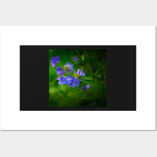 Blue Flowers Posters and Art